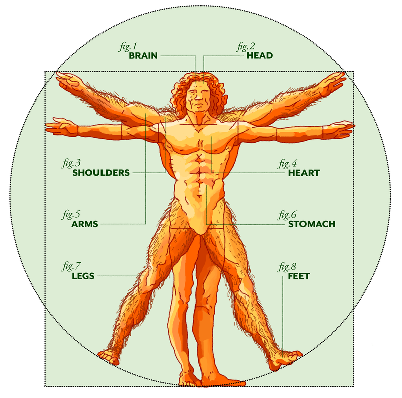 Illustration for article titled Here’s What The 4-Week Sasquatch Challenge Does To Your Body